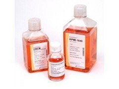 精氨酸葡萄糖斜面瓊脂（AGS） 上海實(shí)業(yè)的創(chuàng)新與應(yīng)用